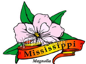 300x224 Magnolia Flower Clip Art Clipart Panda