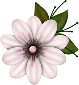 278x300 708 Best Clipart Images On Flower Art, Art Floral