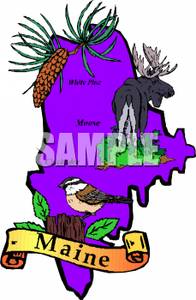 196x300 Clipart Picture The State Plant, Bird, And Animal Of Maine