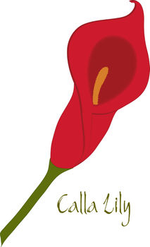 213x350 Free Clip Art Picture Of A Majestic Red Calla Lily