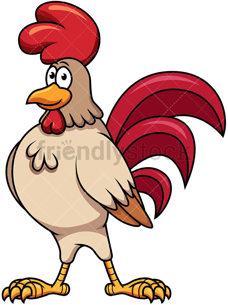 800x1067 Proud Rooster Cartoon Vector Clipart Royalty, Vector Clipart