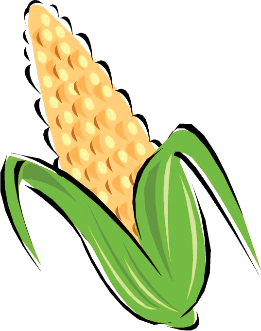 537x679 Corn Clip Art Free Clipart Panda