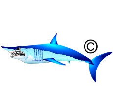 230x228 Mad Makospirit Graphix Spirit Graphix