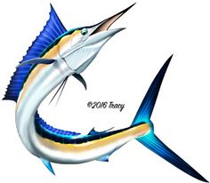 236x206 Mako Shark Illustration Photoshop Clipart Httpwww.spiritgraphix