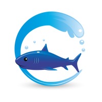 200x200 Shark Sharks Animal Animals Fish Sea Life Sea Lives Wild Animal