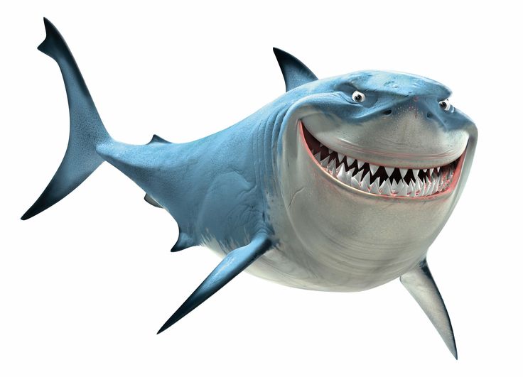 736x531 Shark Bmp Clipart