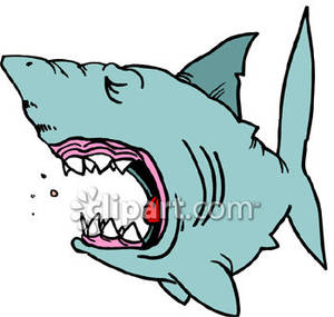 300x285 Collection Of Shark Mouth Open Clipart High Quality, Free