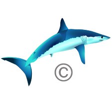 225x221 Shark Clipart Spirit Graphix