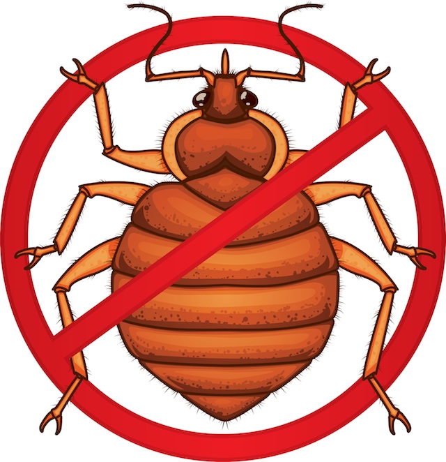 640x662 Bed Bug Clipart No Bed Bugs Sign