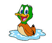 Mallard Clipart