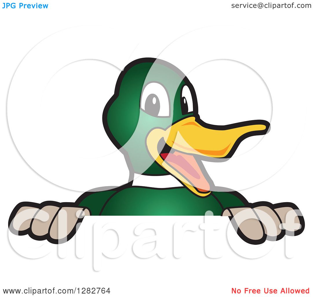 1080x1024 Clipart Of A Happy Mallard Duck School Mascot Character Smiling