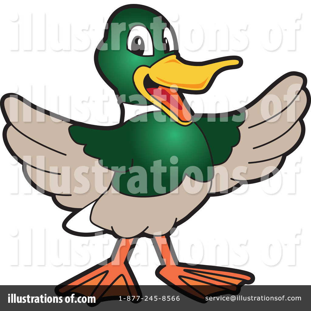 1024x1024 Mallard Duck Clipart