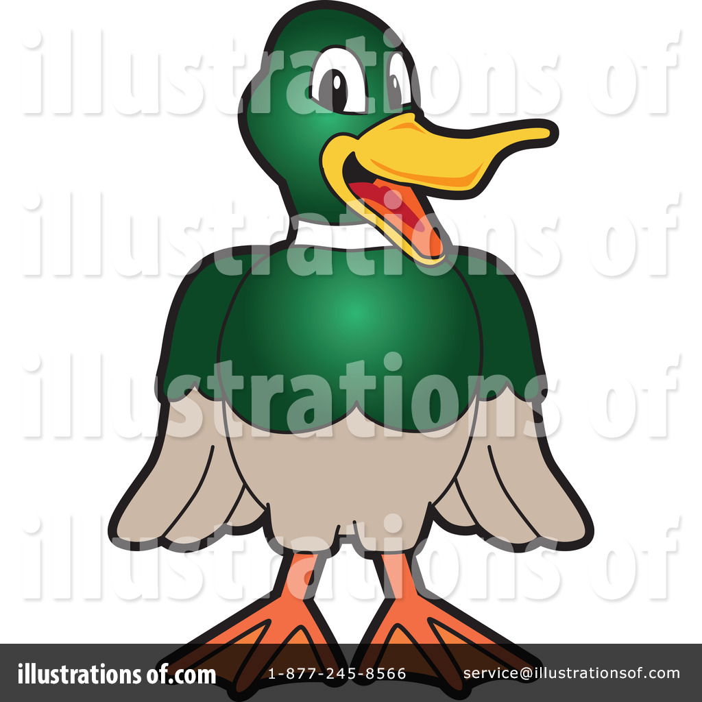 1024x1024 Mallard Duck Clipart