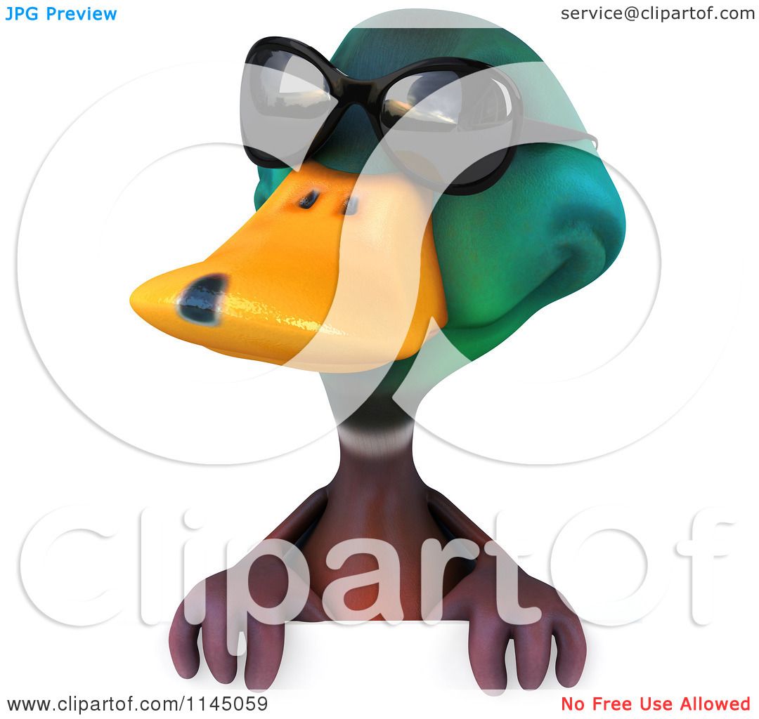 1080x1024 Clipart Of 3d Cool Mallard Drake Duck Wearing Sunglasses Over