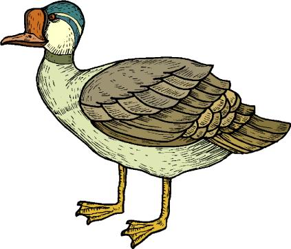 423x362 Ducks Clip Art Farm