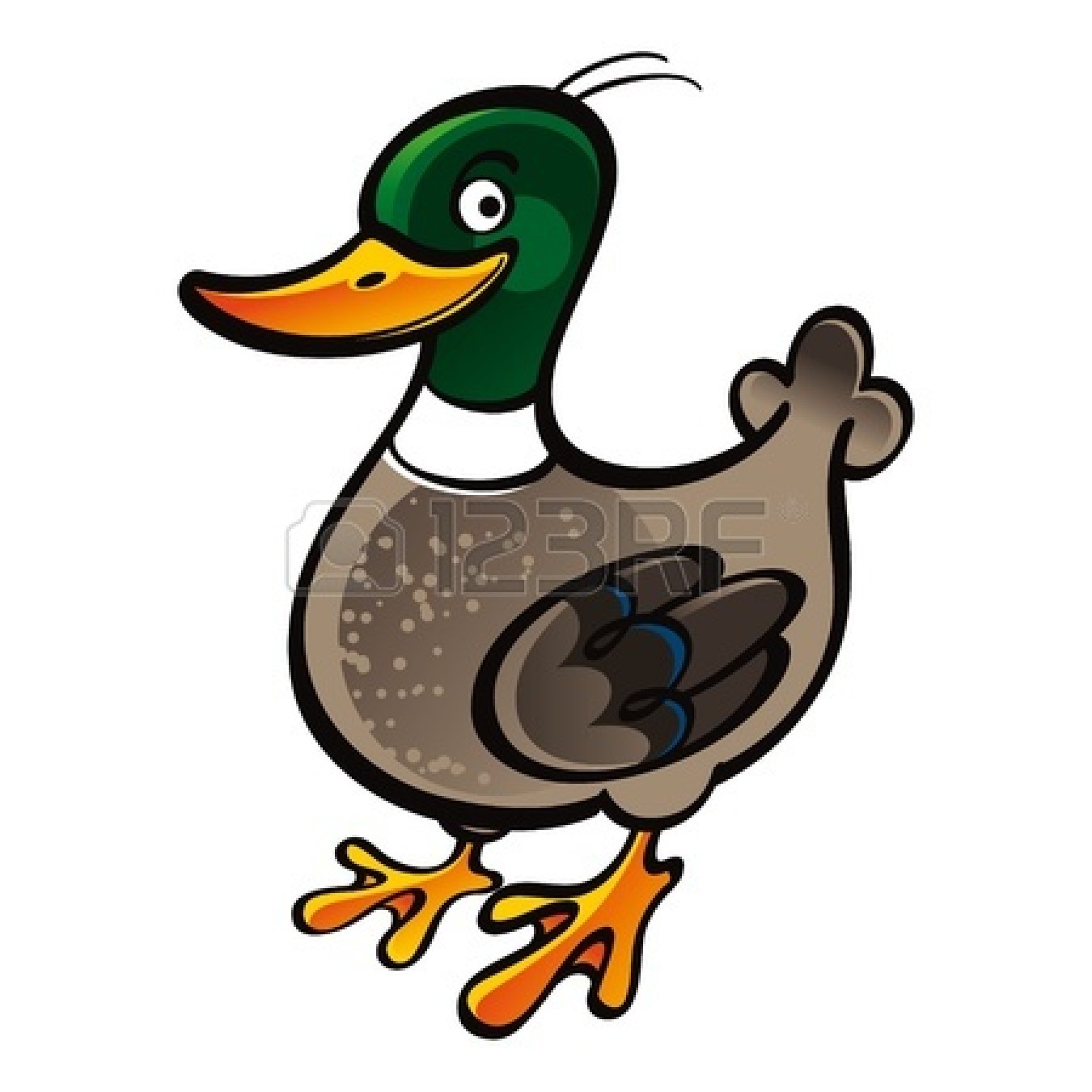 1350x1350 Mallard Duck Clipart Clipart Panda