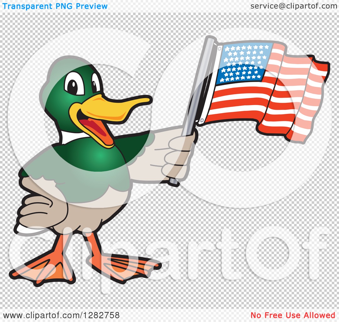 1080x1024 Mallard Clip Art