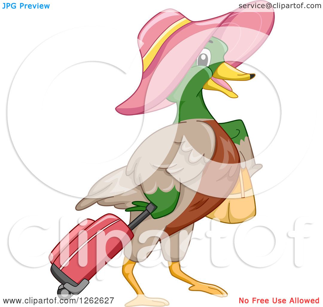 1080x1024 Clipart Of A Mallard Duck Wearing A Hat And Pulling Luggage