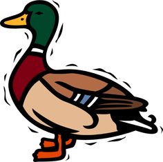 236x235 Mallard Duck Clipart