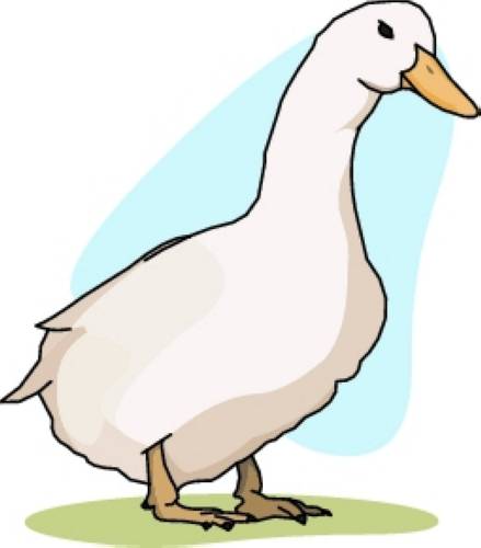 439x500 Duck Clipart Silly 3491984