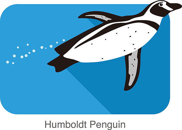 612x438 Mammal Penguin Clipart, Explore Pictures