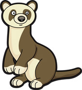 169x185 Search Results For Ferret
