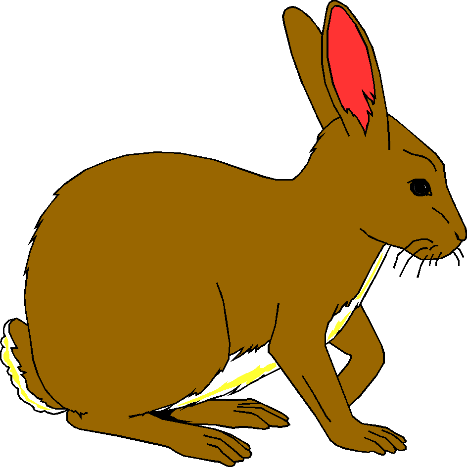944x944 Top 97 Jackrabbit Clip Art