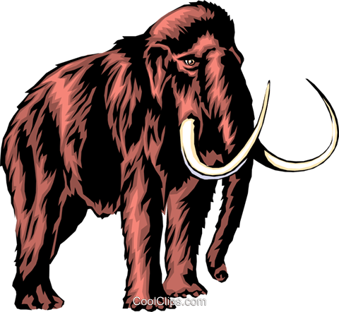 480x442 Mammoth Royalty Free Vector Clip Art Illustration Anim0293