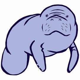 270x270 Manatee Stencils Manatee And Stenciling