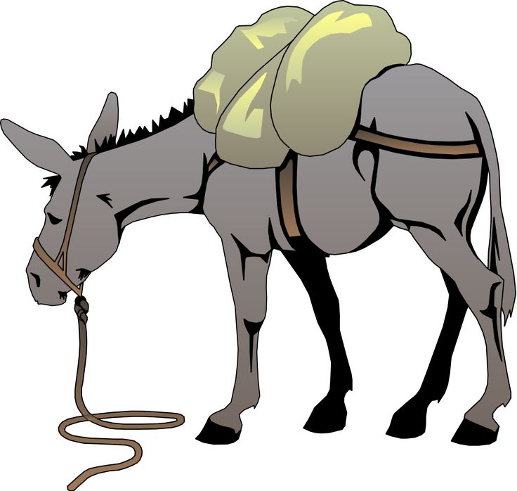 736x698 Donkey Clipart Nativity Animal