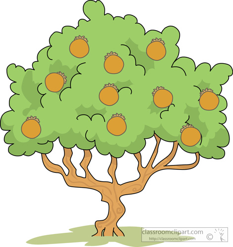 470x500 Mango Tree Clipart