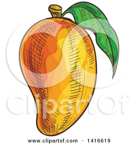 450x470 Royalty Free (Rf) Mango Clipart, Illustrations, Vector Graphics