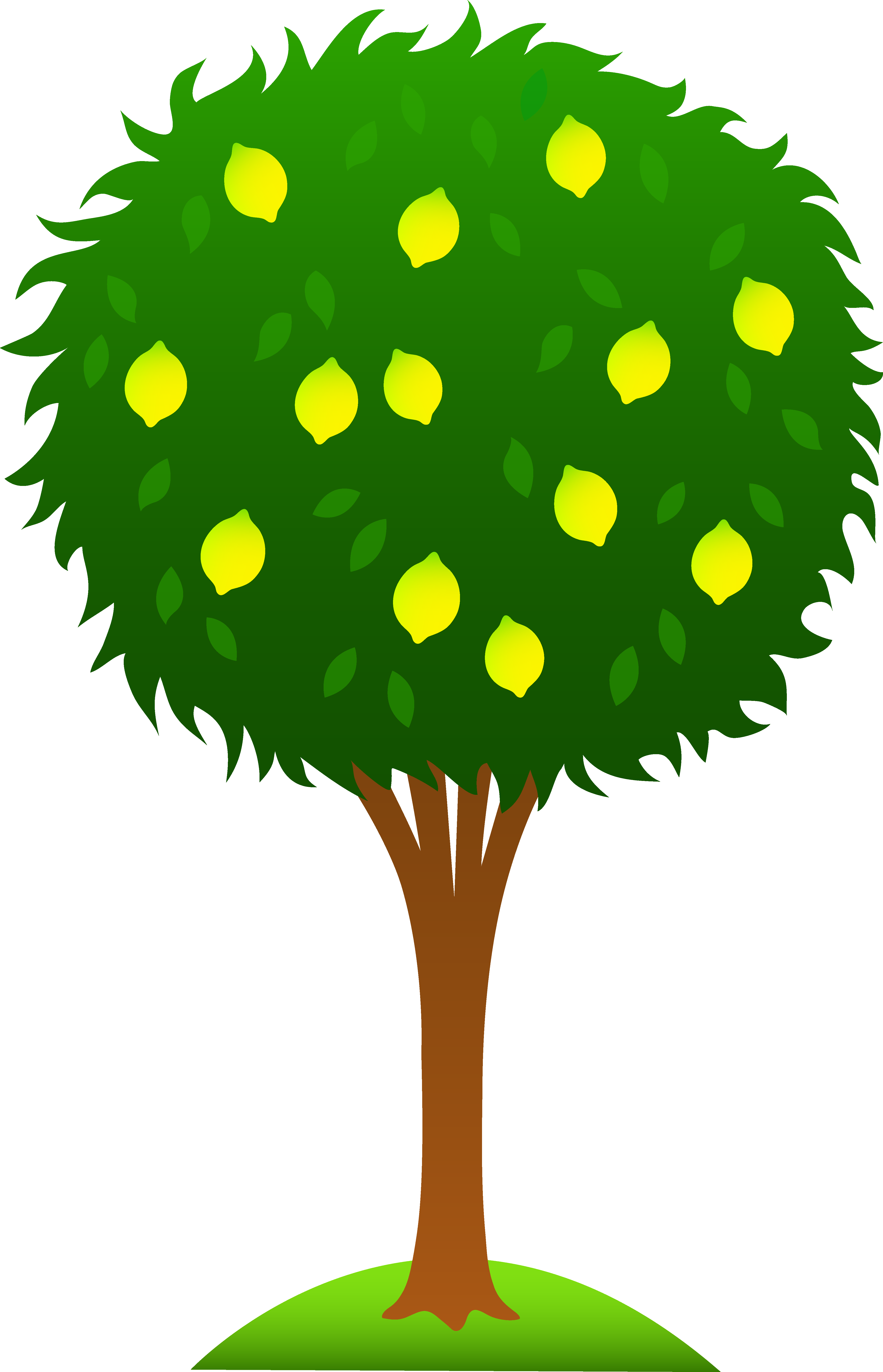 4325x6720 Clipart Of Mango Tree