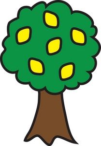 209x300 Three Orange Tree Catalog June W2 Orange Trees