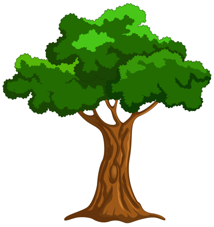 700x745 Cartoon Picture Of A Tree Find Here More