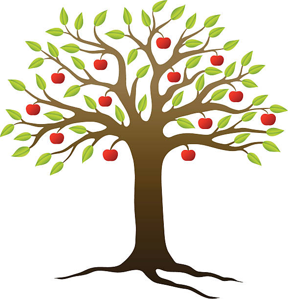 589x612 Clipart Of An Apple Tree Design Free Clip Art