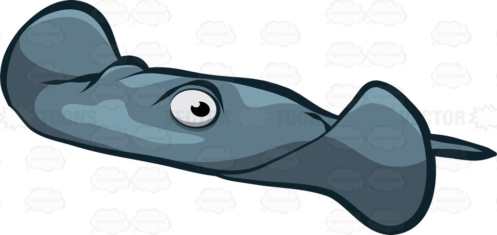 1024x485 Manta Ray Clipart Vector Toons
