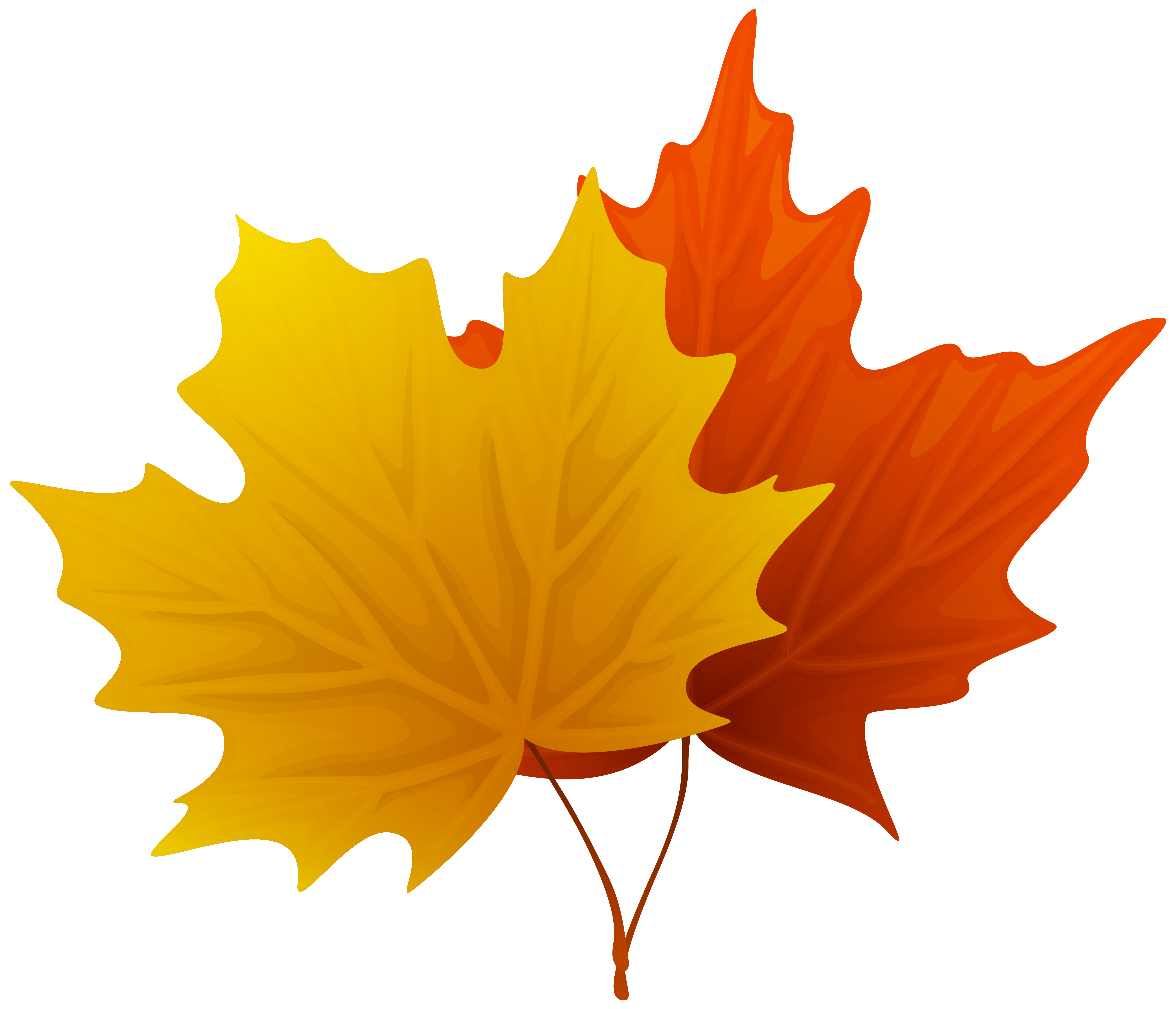 6194x5314 Fall Maple Leaf Clip Art Maple Clip Art And Leaves