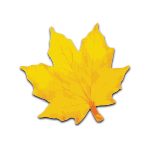 297x299 Maple Leaf Clip Art