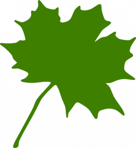 277x300 Maple Leaf Clipart Green Maple Leaf Clip Art