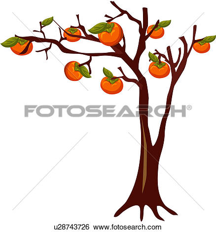 438x470 Maple Fruit Clipart