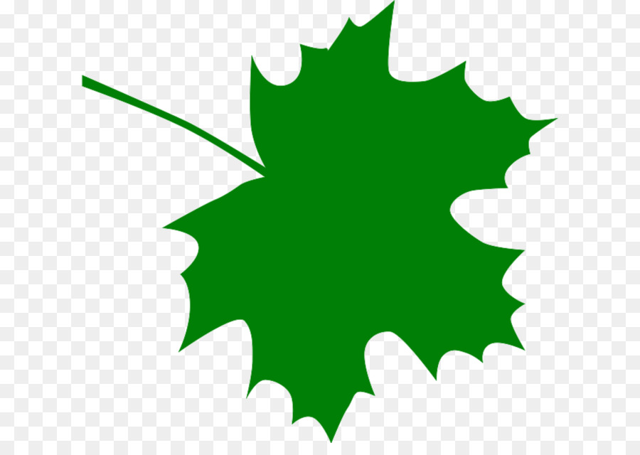 900x640 Sugar Maple Maple Leaf Clip Art