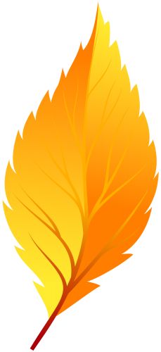 229x500 Leaf Clip Art Orange Maple Leaf Clip Art Preschool