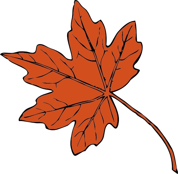 600x585 Maple Leaf Clip Art Maple Leaf Clip Art Free Vector In Open Office