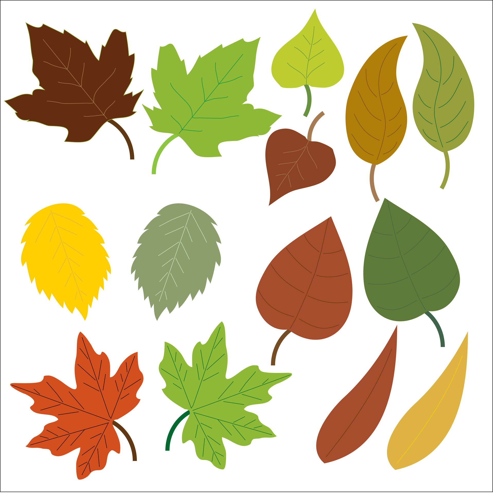 1917x1920 Leaves Clipart Free Stock Photo Public Domain Pictures Clip Art