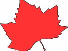 220x165 Maple Leaf Clipart Green Maple Leaf Clip Art