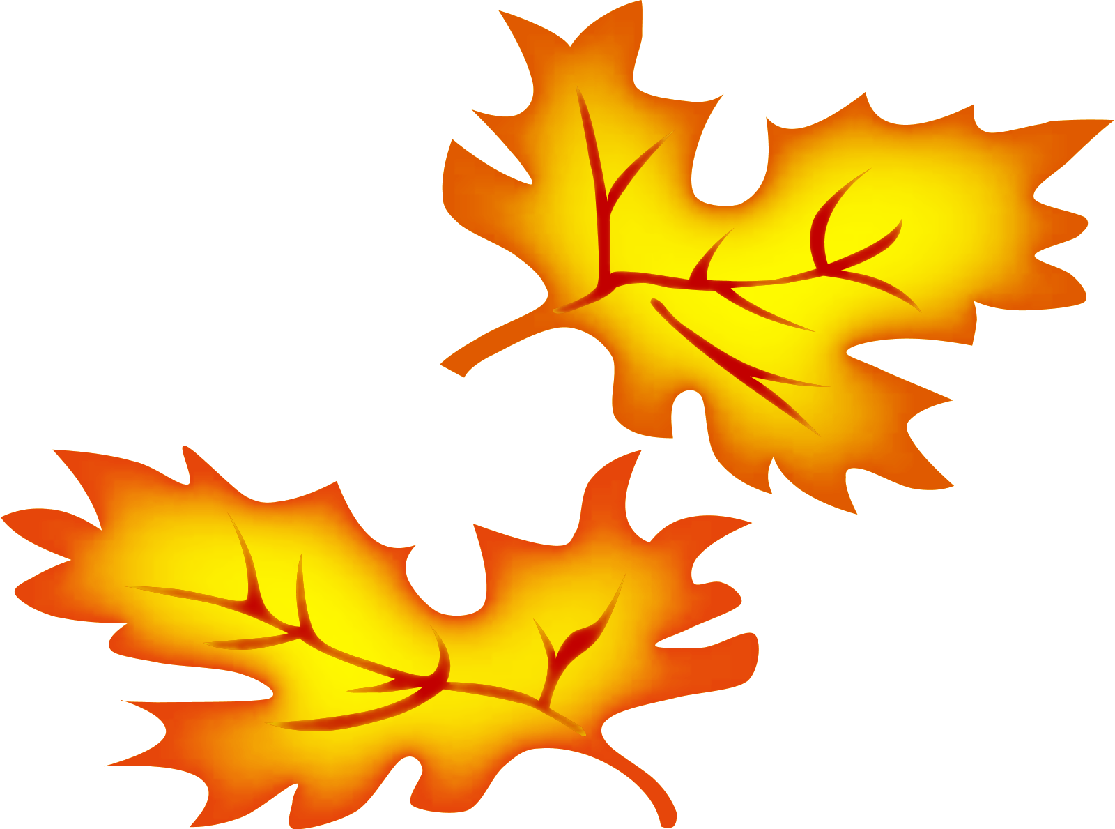 1600x1189 Maple Leaf Clipart Autumn Leaves