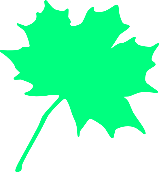 552x597 Maple Tree Bit Clip Art