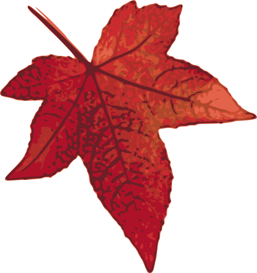 846x900 Maple Leaf Maple Tree Clip Art