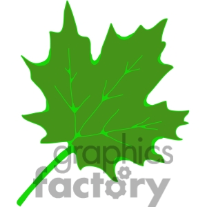 300x300 Sugar Maple Leaf Clipart